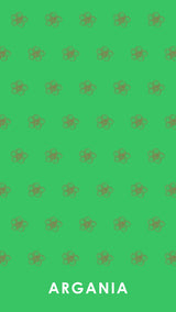 Digital Wallpaper