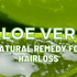 Aloe Vera as Natural Home Remedy